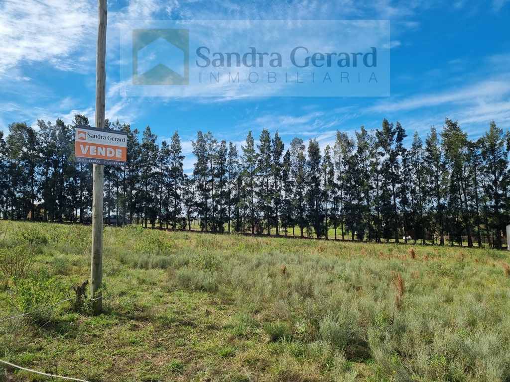LA POSIBILIDAD DE VIVIR EN UN ESPACIO MARAVILLOSO LO ESTÁ ESPERANDO-“TERRAZA DE LA CALANDRIA”